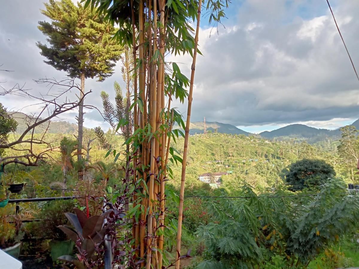 Princess Of Dickoya Homestay هاتون المظهر الخارجي الصورة