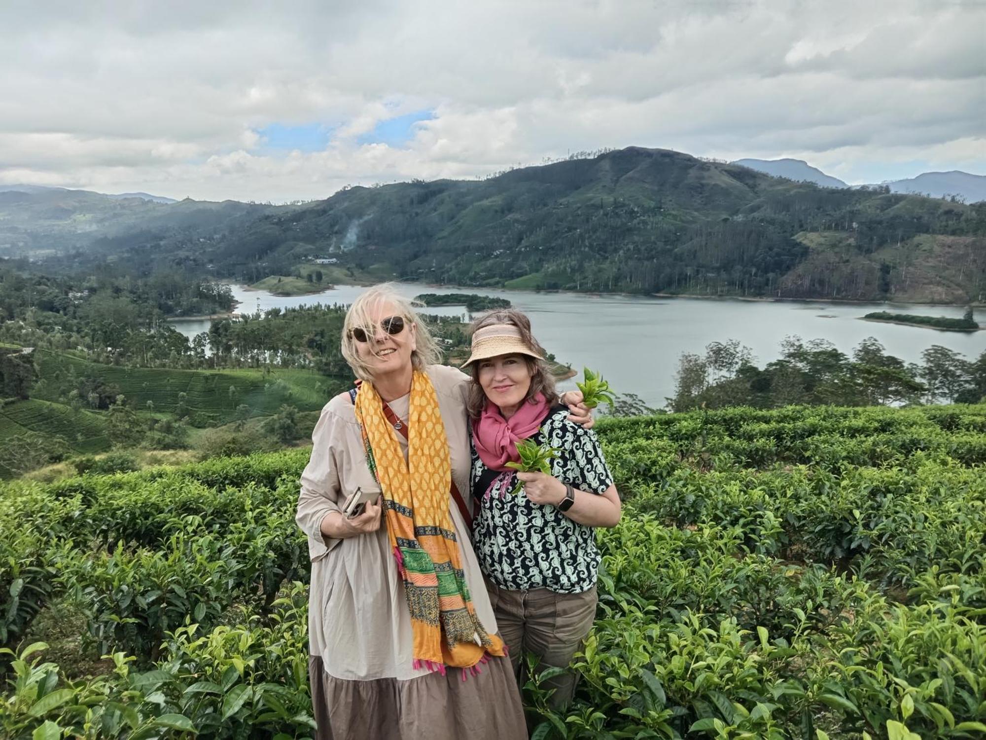 Princess Of Dickoya Homestay هاتون المظهر الخارجي الصورة