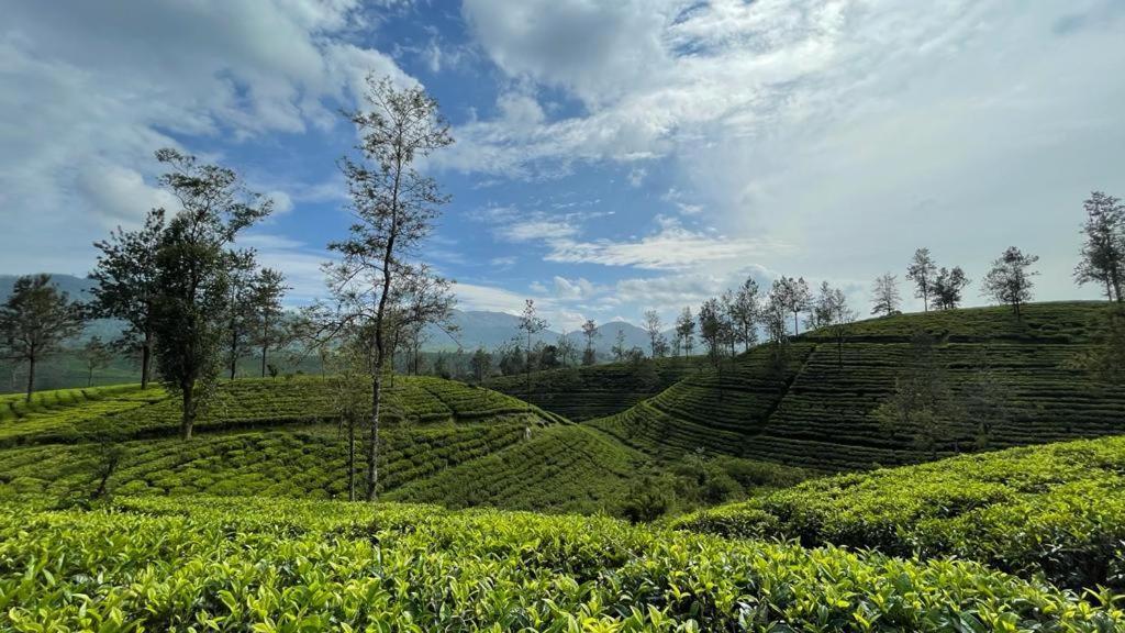 Princess Of Dickoya Homestay هاتون المظهر الخارجي الصورة