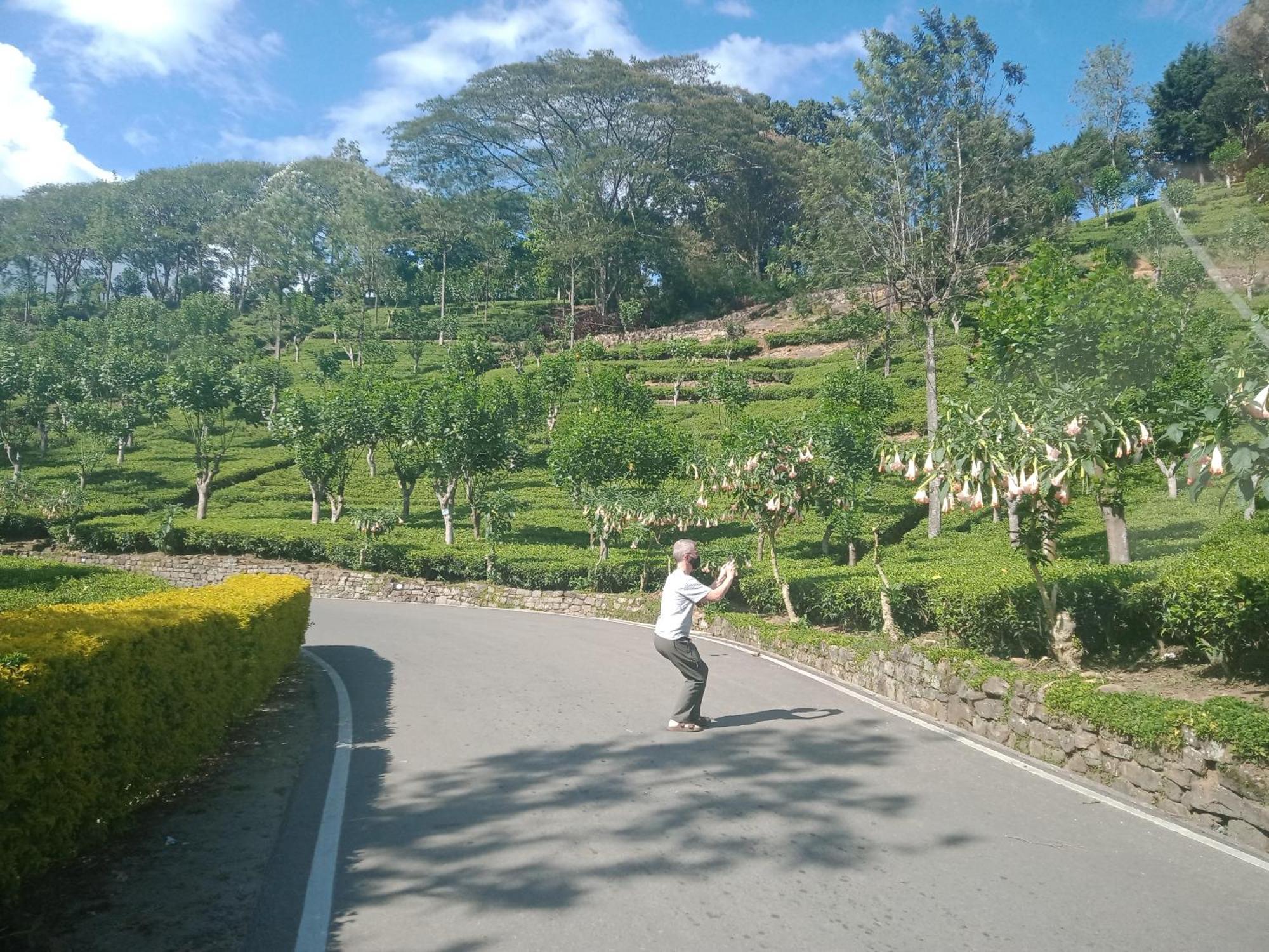 Princess Of Dickoya Homestay هاتون الغرفة الصورة
