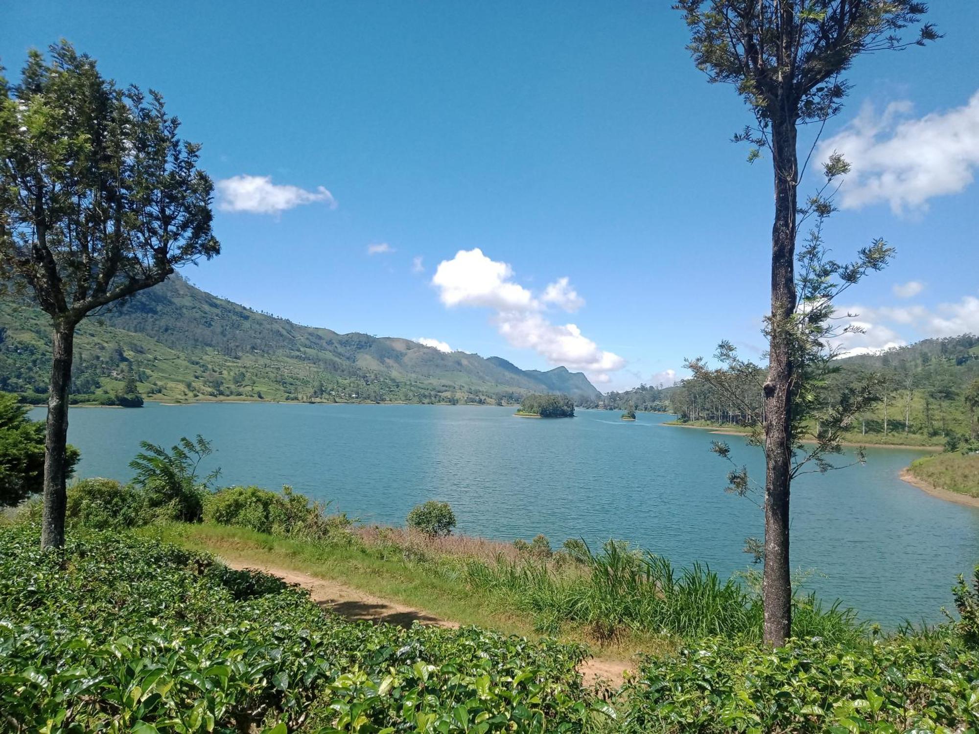 Princess Of Dickoya Homestay هاتون الغرفة الصورة
