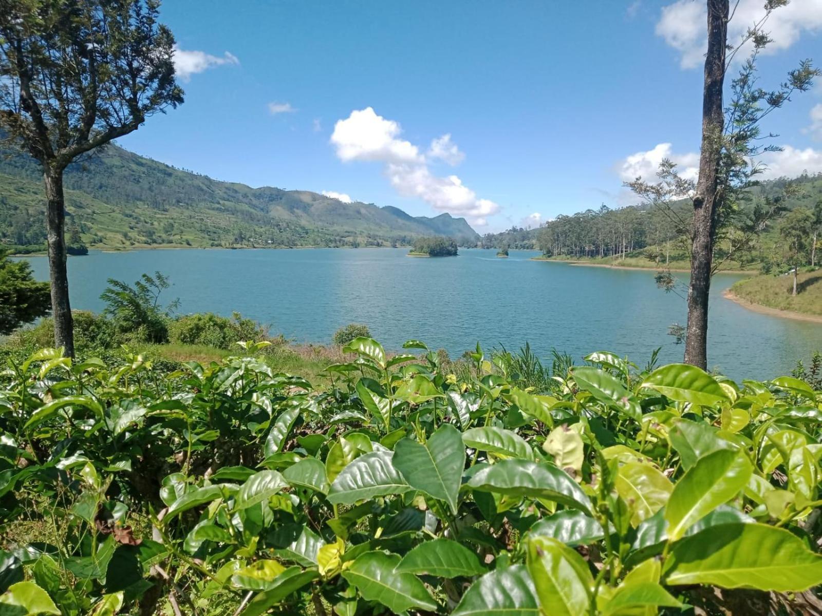 Princess Of Dickoya Homestay هاتون الغرفة الصورة