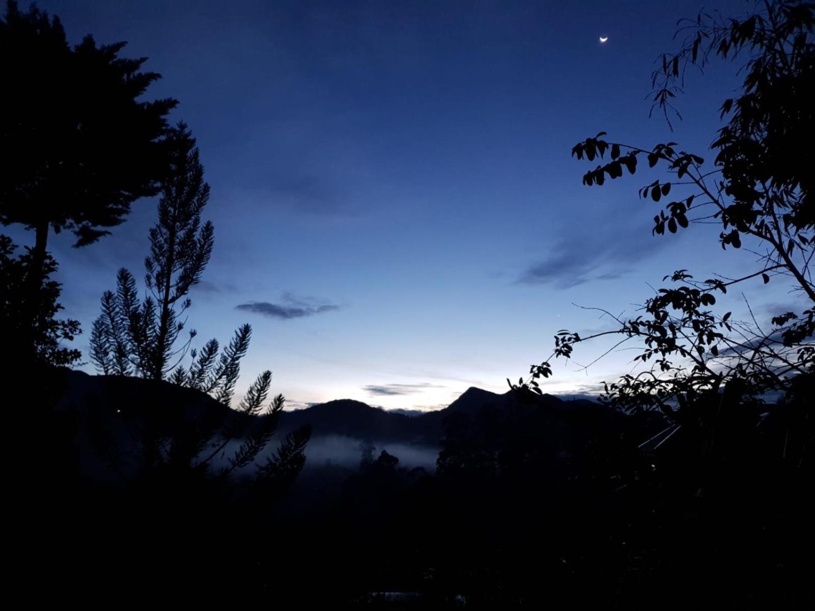 Princess Of Dickoya Homestay هاتون الغرفة الصورة