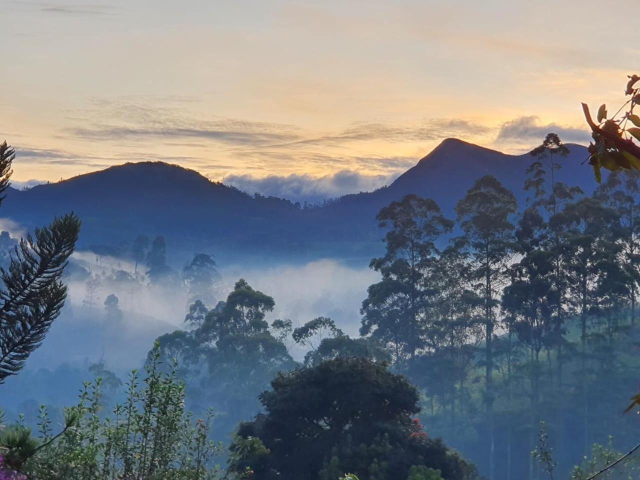 Princess Of Dickoya Homestay هاتون الغرفة الصورة